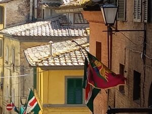 san gimignano e siena2